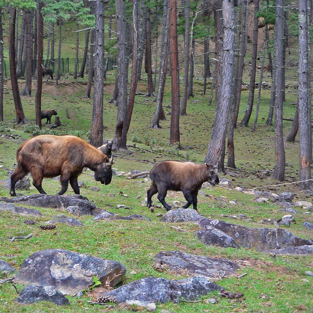 takin3sacred photo for commercial .sacred photo for commercial