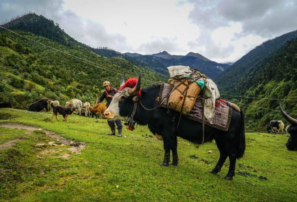 drukasia_021517_dsc04125-1070×727