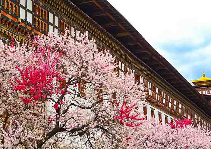 tashichho-dzong-thimphu-bhutan-700-20